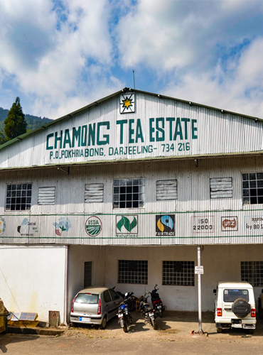 Chamaong Tea Factory